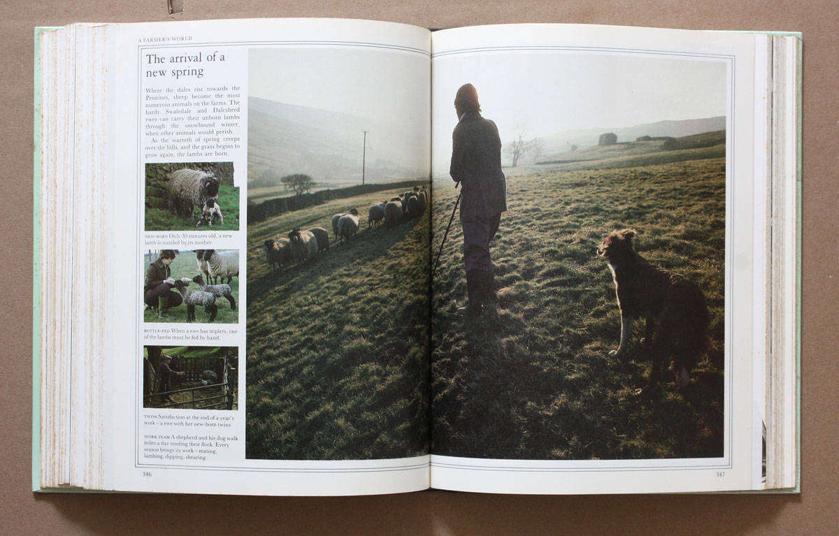 The Best of James Herriot - Favourite memories of a Country Vet - James Herriot