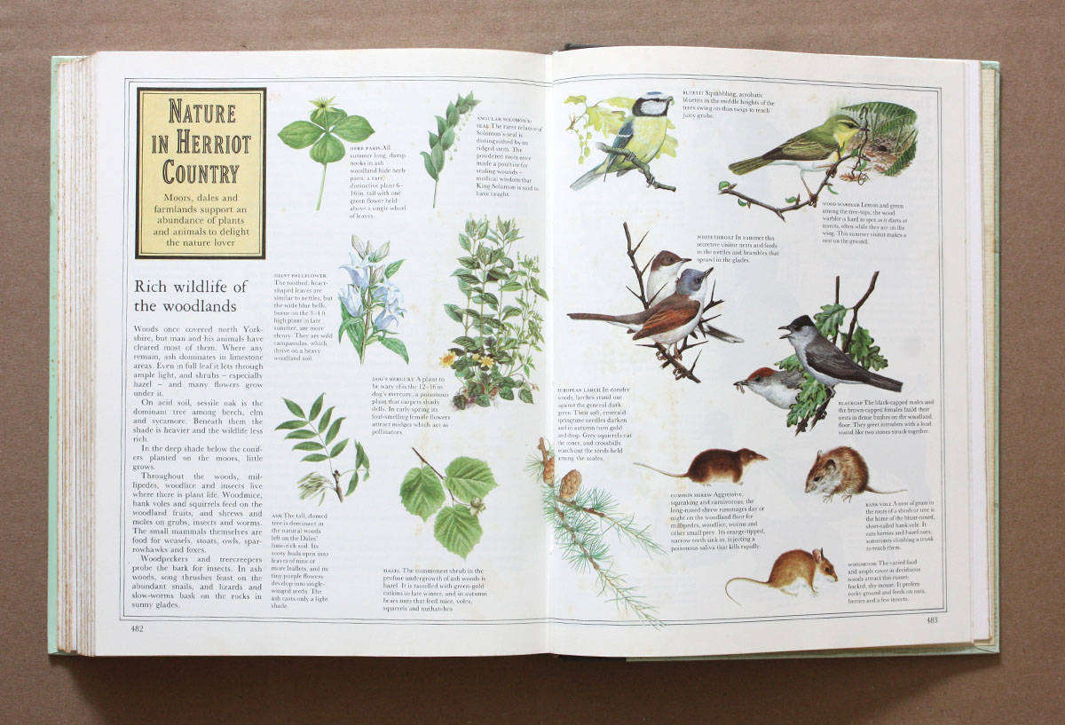 The Best of James Herriot - Favourite memories of a Country Vet - James Herriot