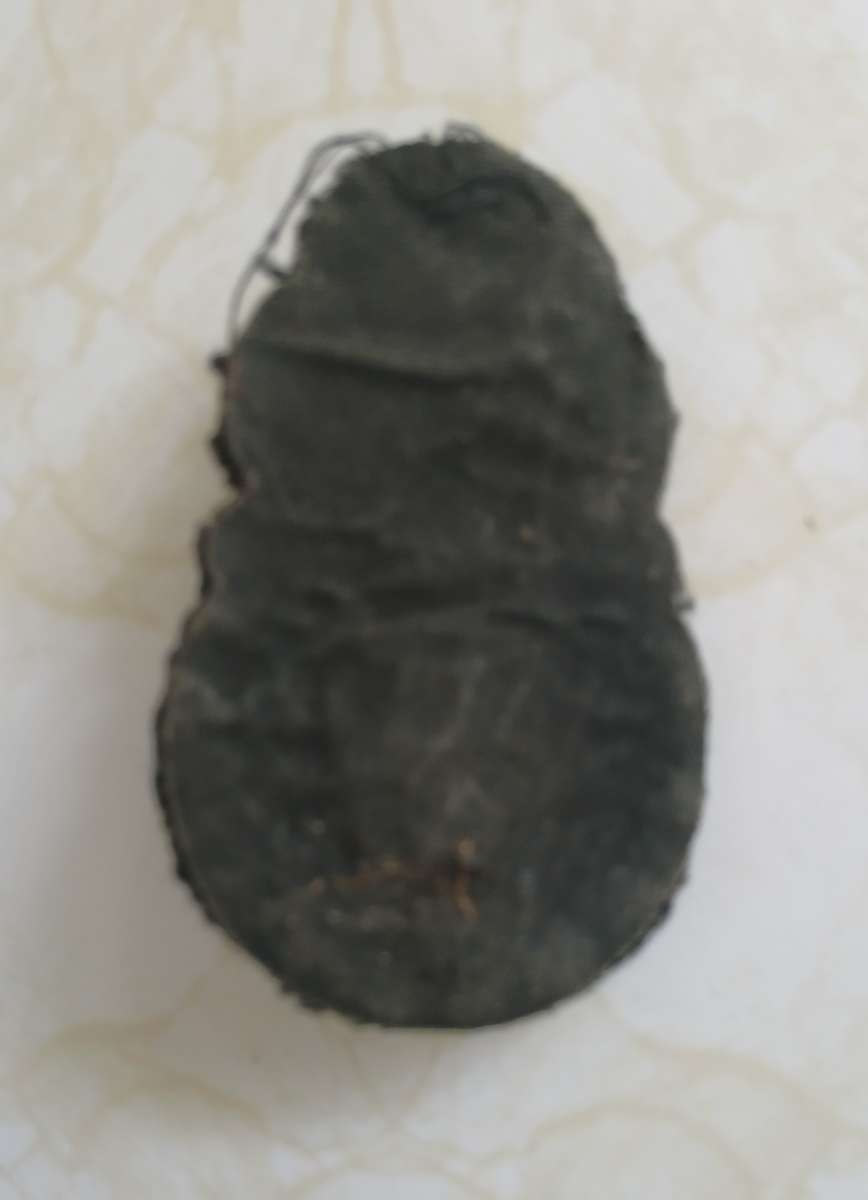 SA Navy Chief Petty Officer's Cap Badge