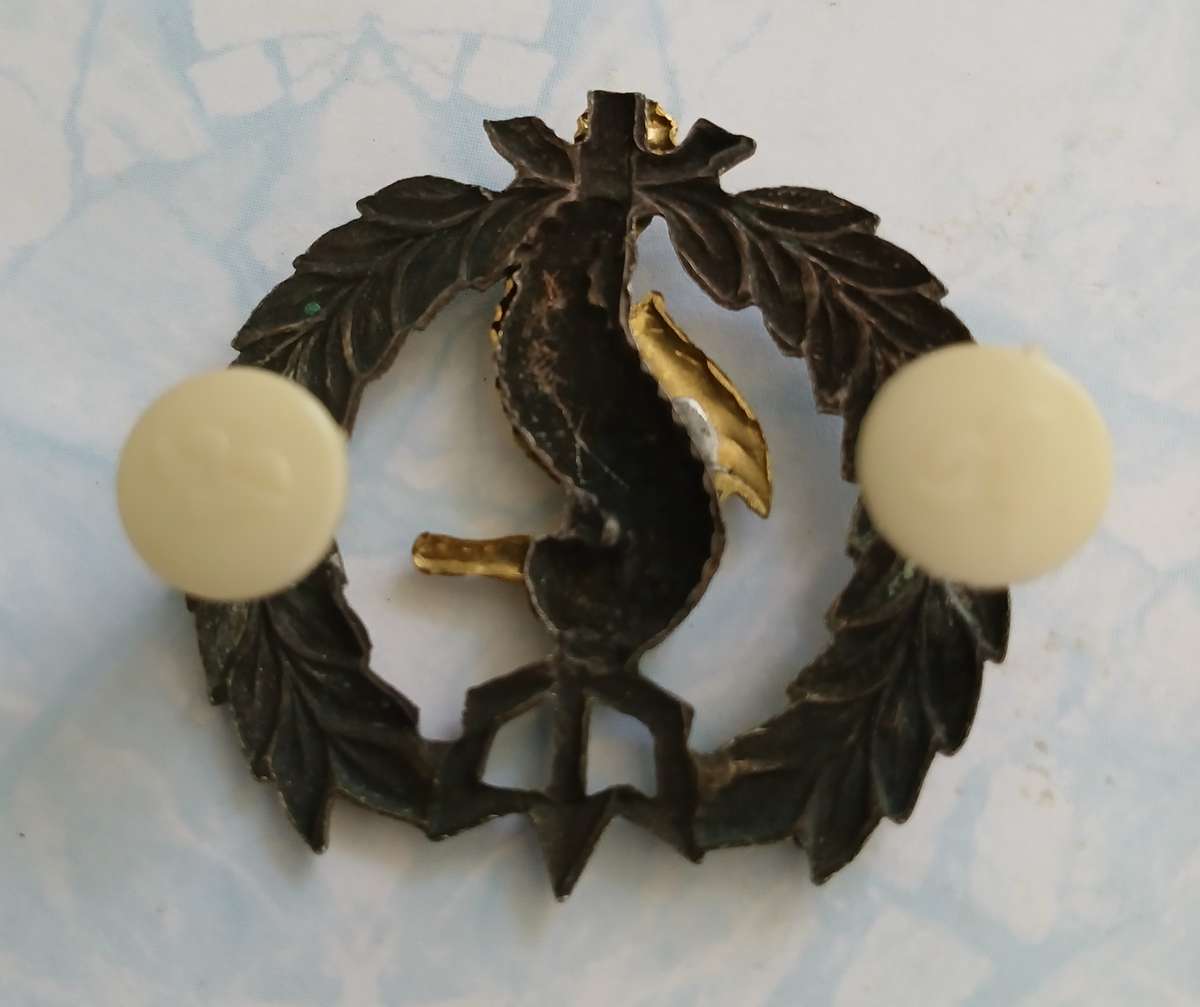 SA Navy Independent Ship's and Air/Sea Rescue breast Badge