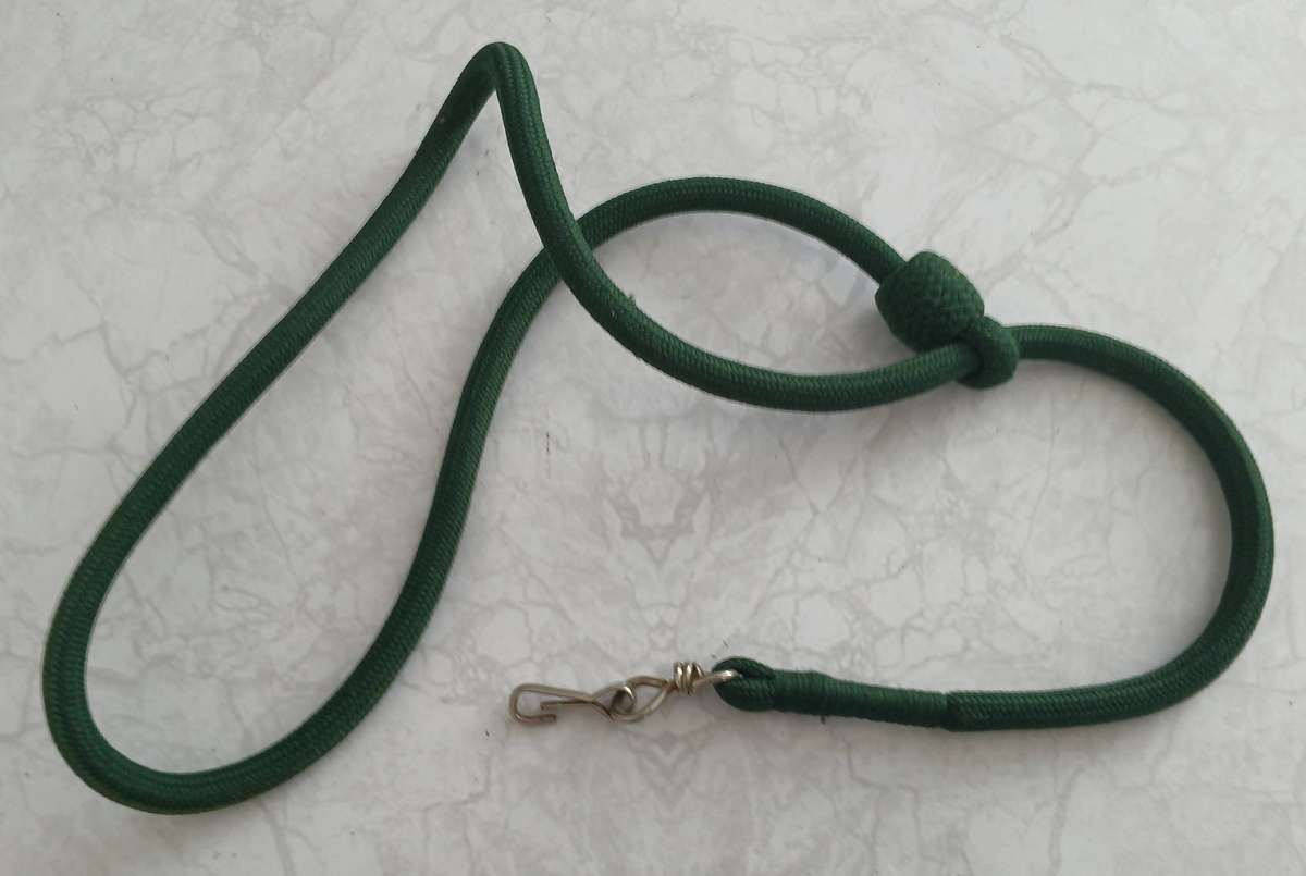Lanyard - green