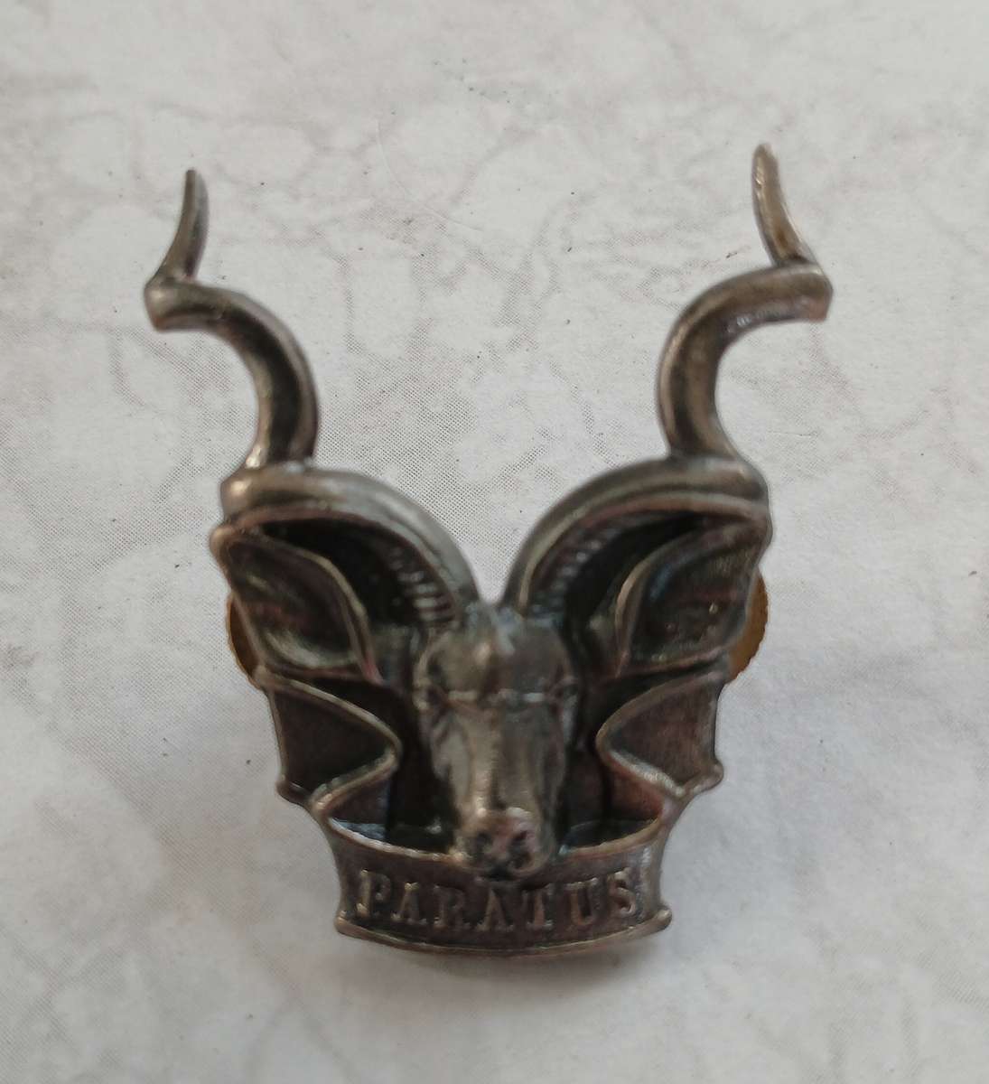 SWATF Area Force Badge