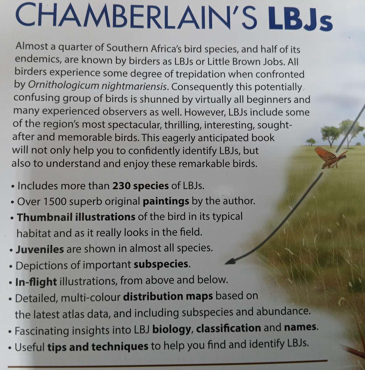 BooK: Chamberlain's LBJ's
