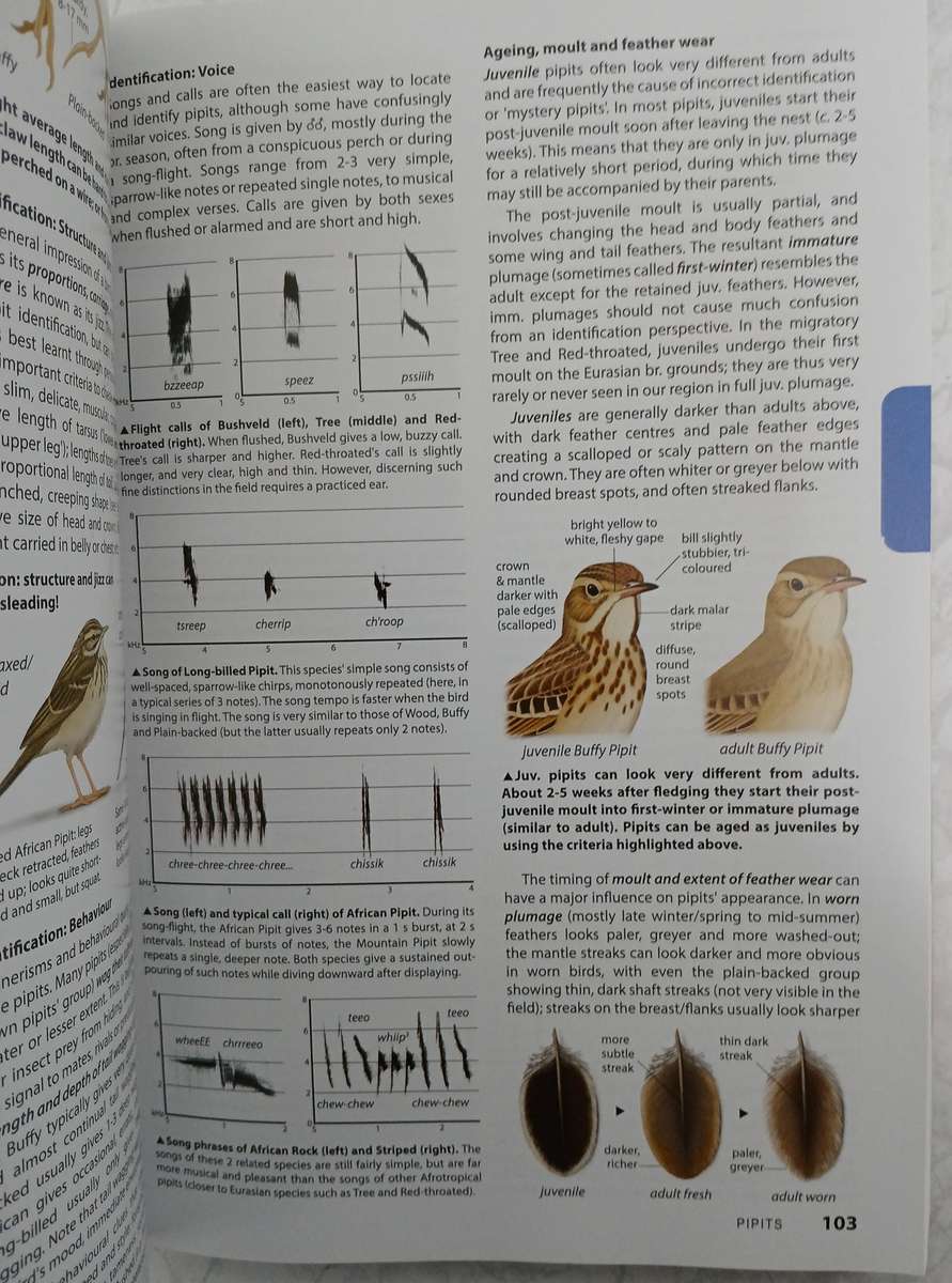 BooK: Chamberlain's LBJ's