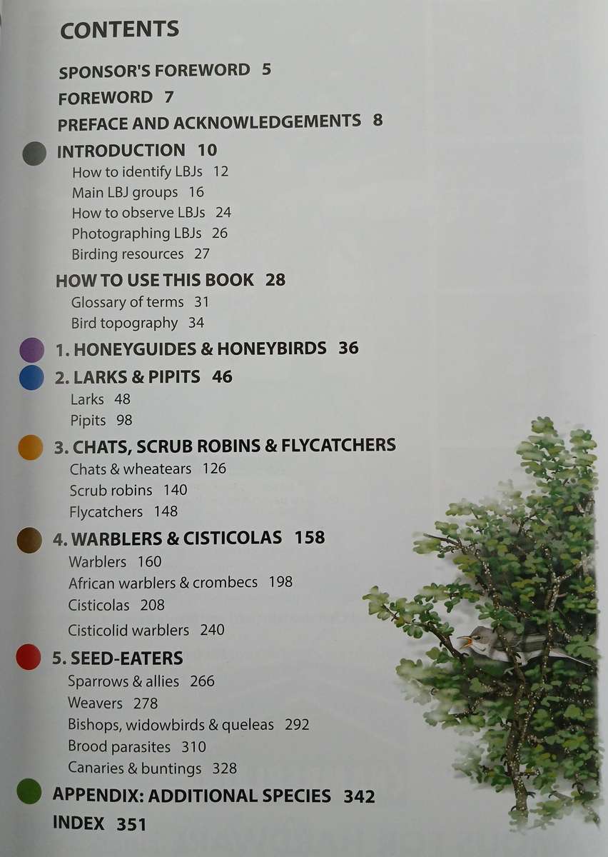 BooK: Chamberlain's LBJ's