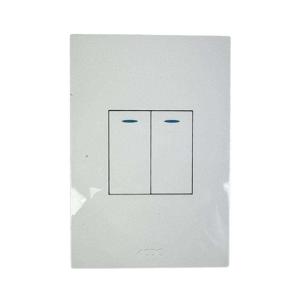 ACDC - Orion Slate 2x4 2 Gang Cover Plate