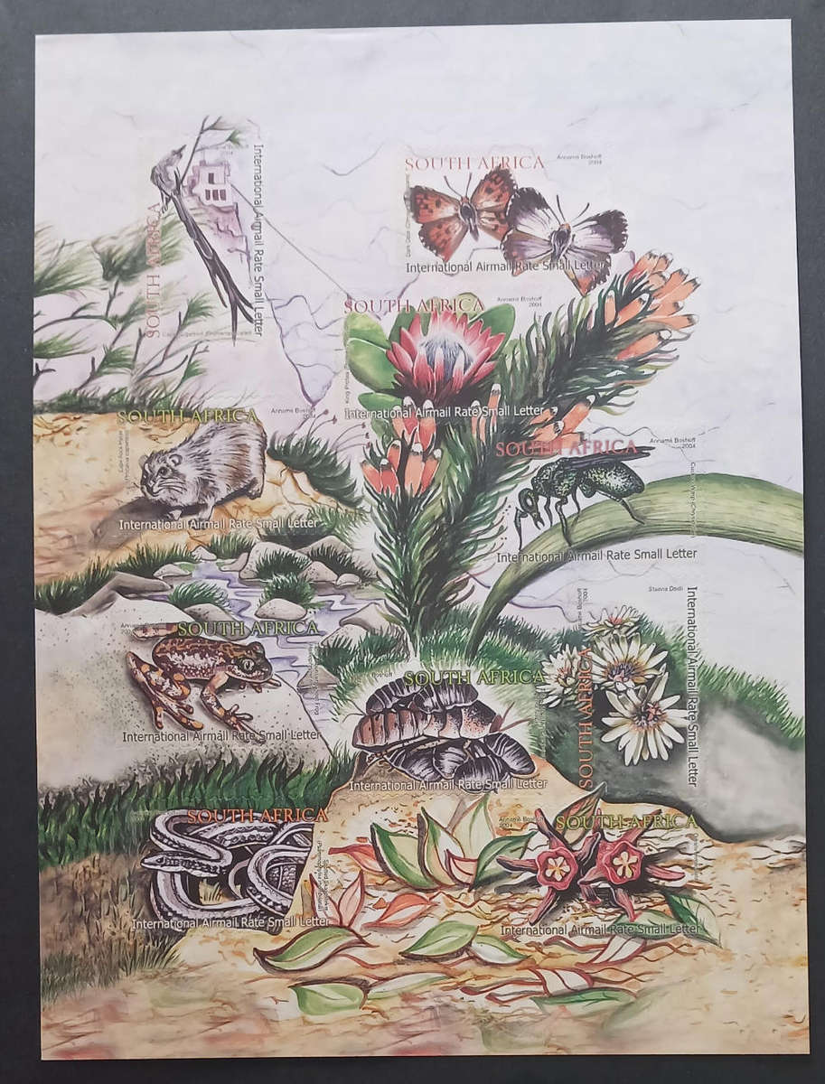 2004 Ecology of Table Mountain