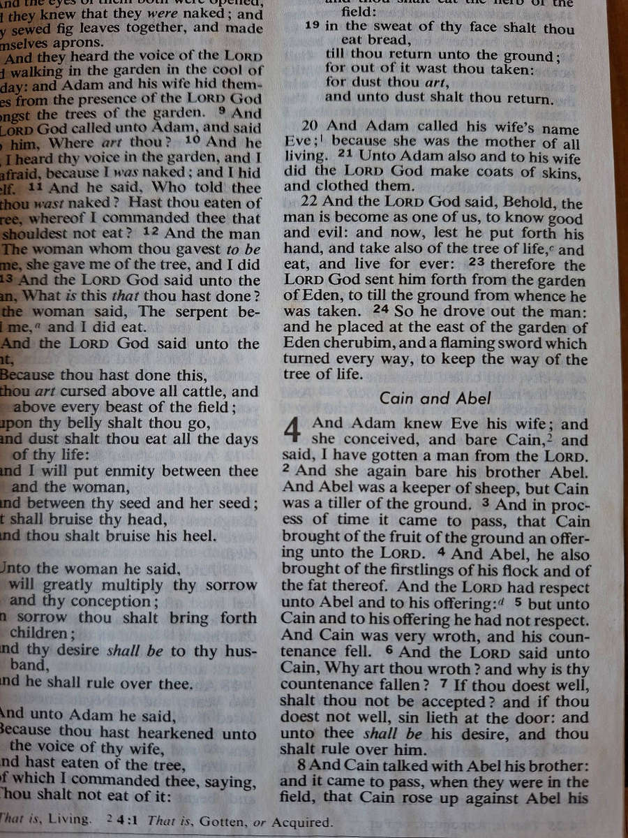 Holy Bible with Concordance