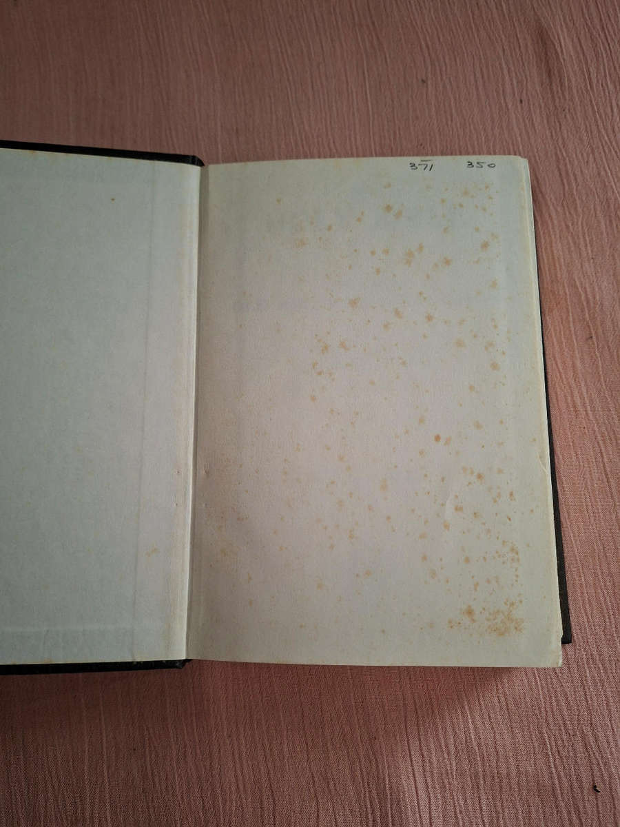 Holy Bible with Concordance