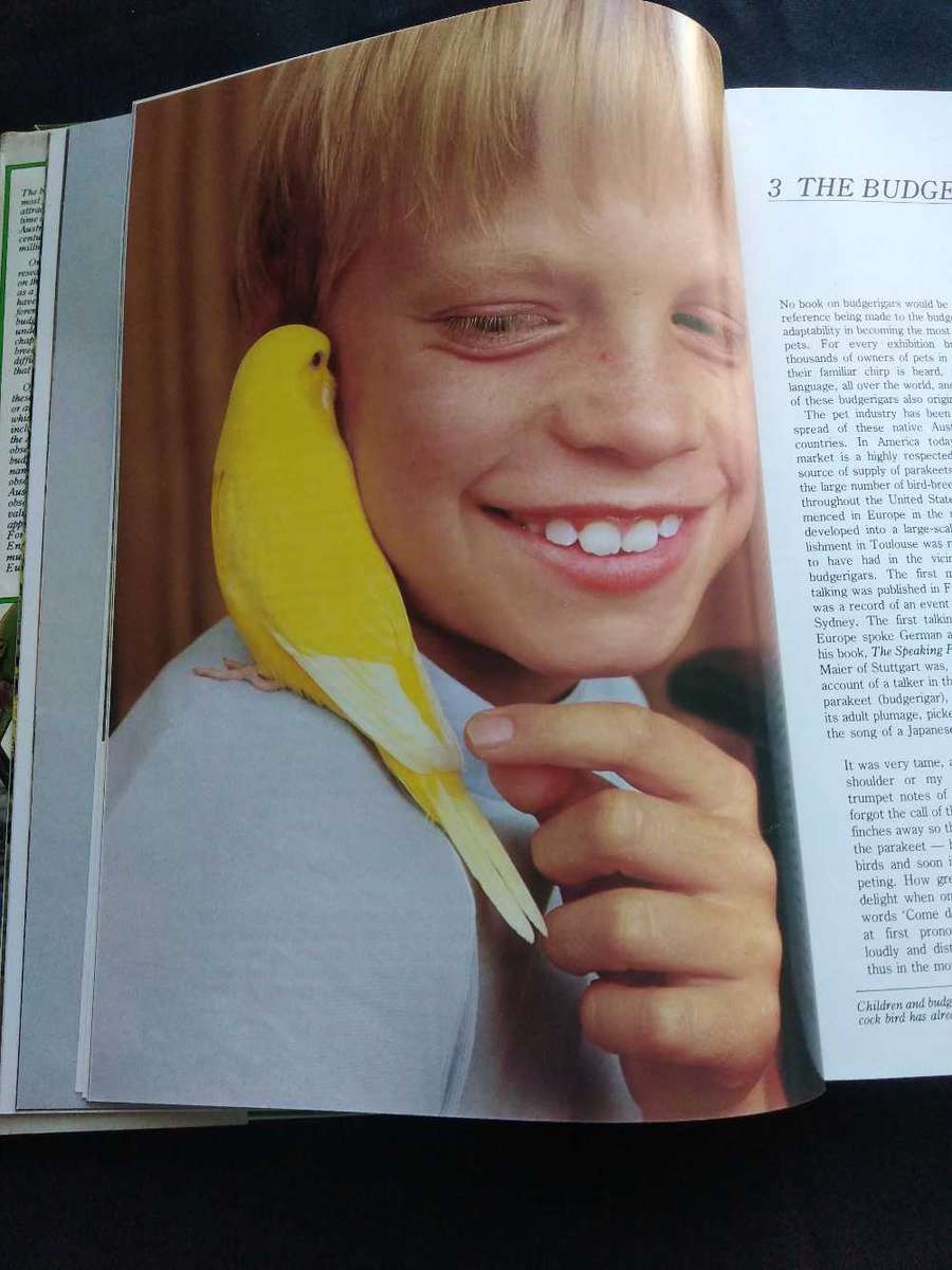 John Scoble The Complete Book of Budgerigars