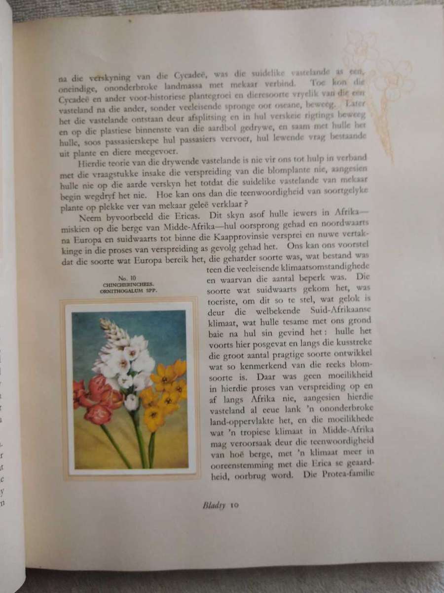 Our South African Flora