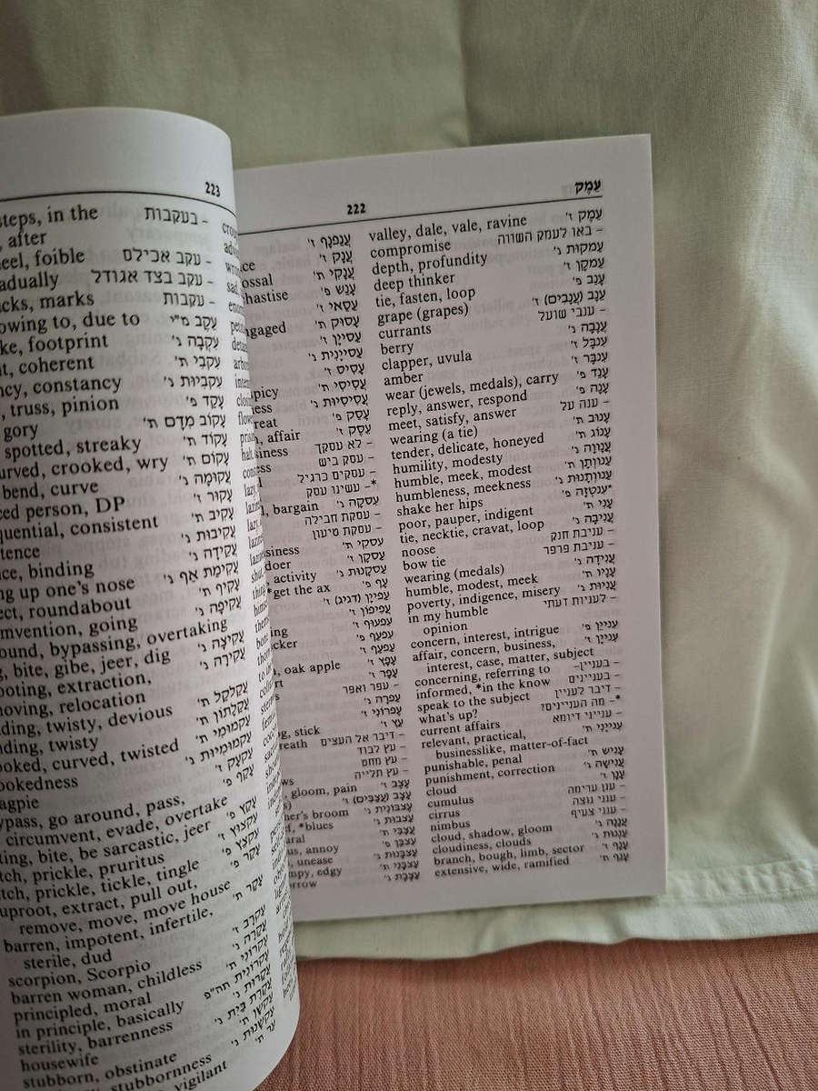 Shimon Zilberman The Up-to-date Hebrew-English Dictionary