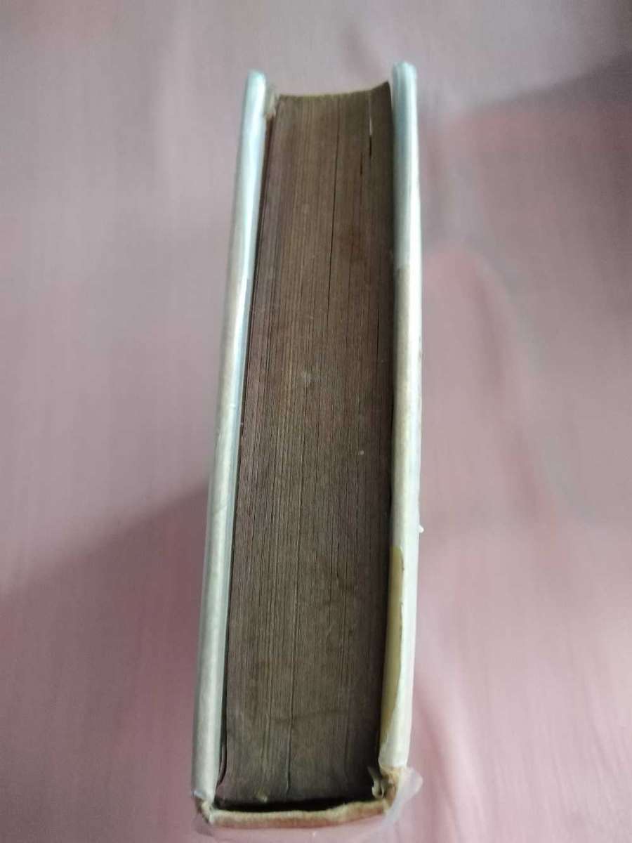 Heidi's Children Charles Tritten