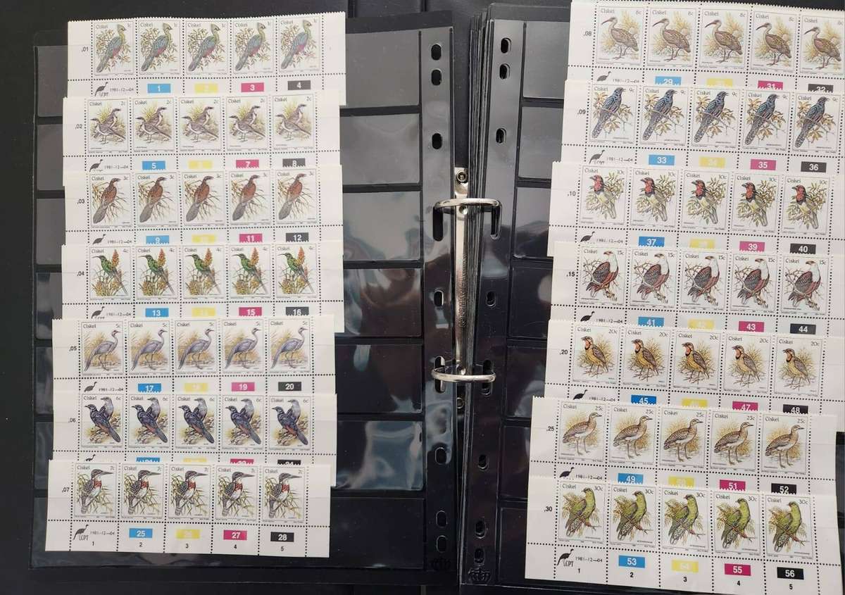 Ciskei control blocks