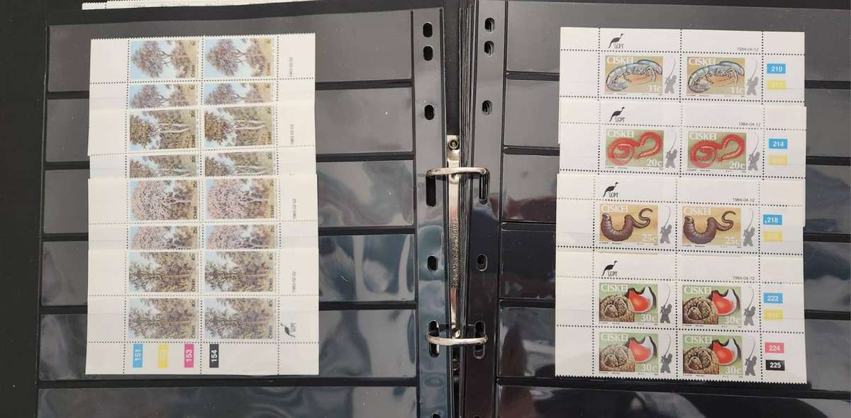 Ciskei control blocks