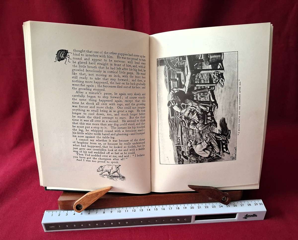 Jock of the Bushveld  Sir Percy FitzPatrick (Abridged Edition, Longmans 1943)