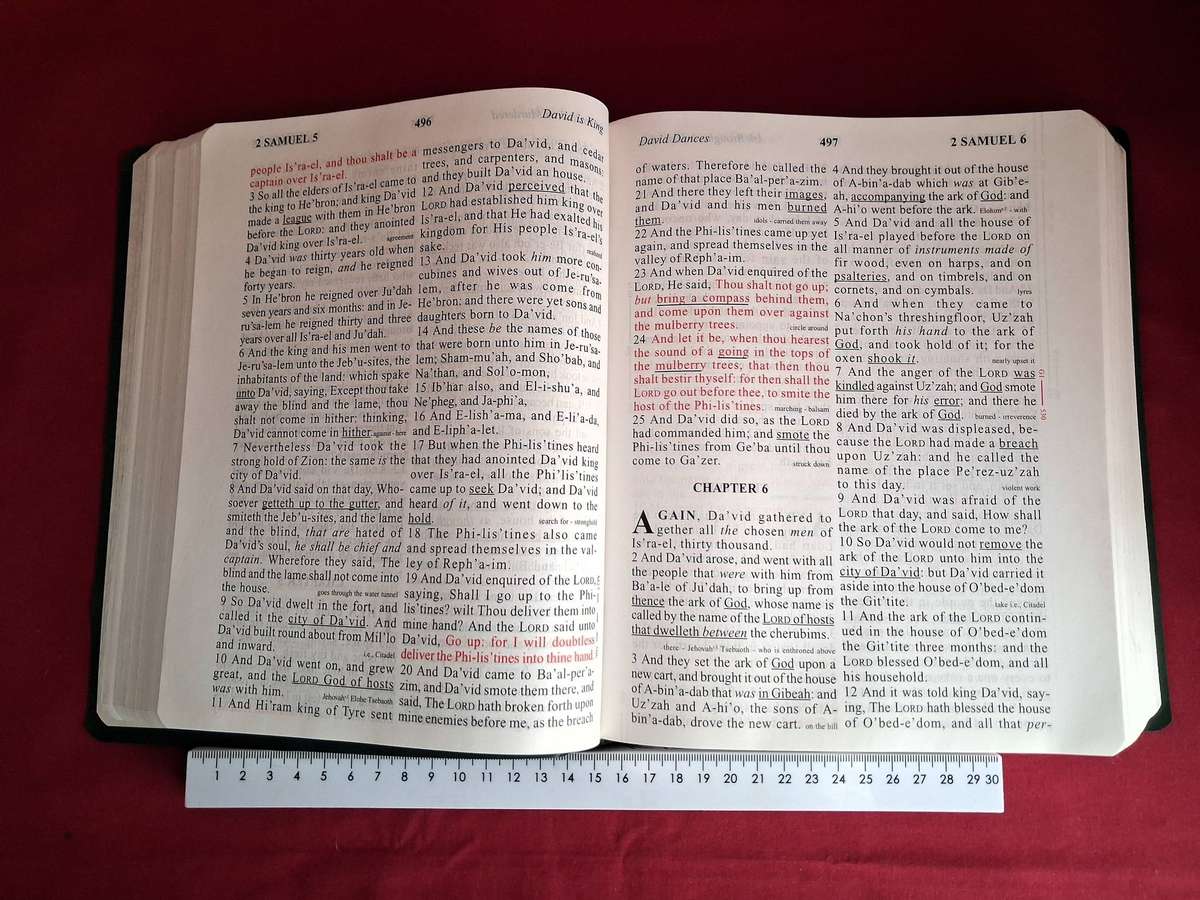 THE KING JAMES BIBLE  Special Margin Edition (Large Print, Red Lettered)