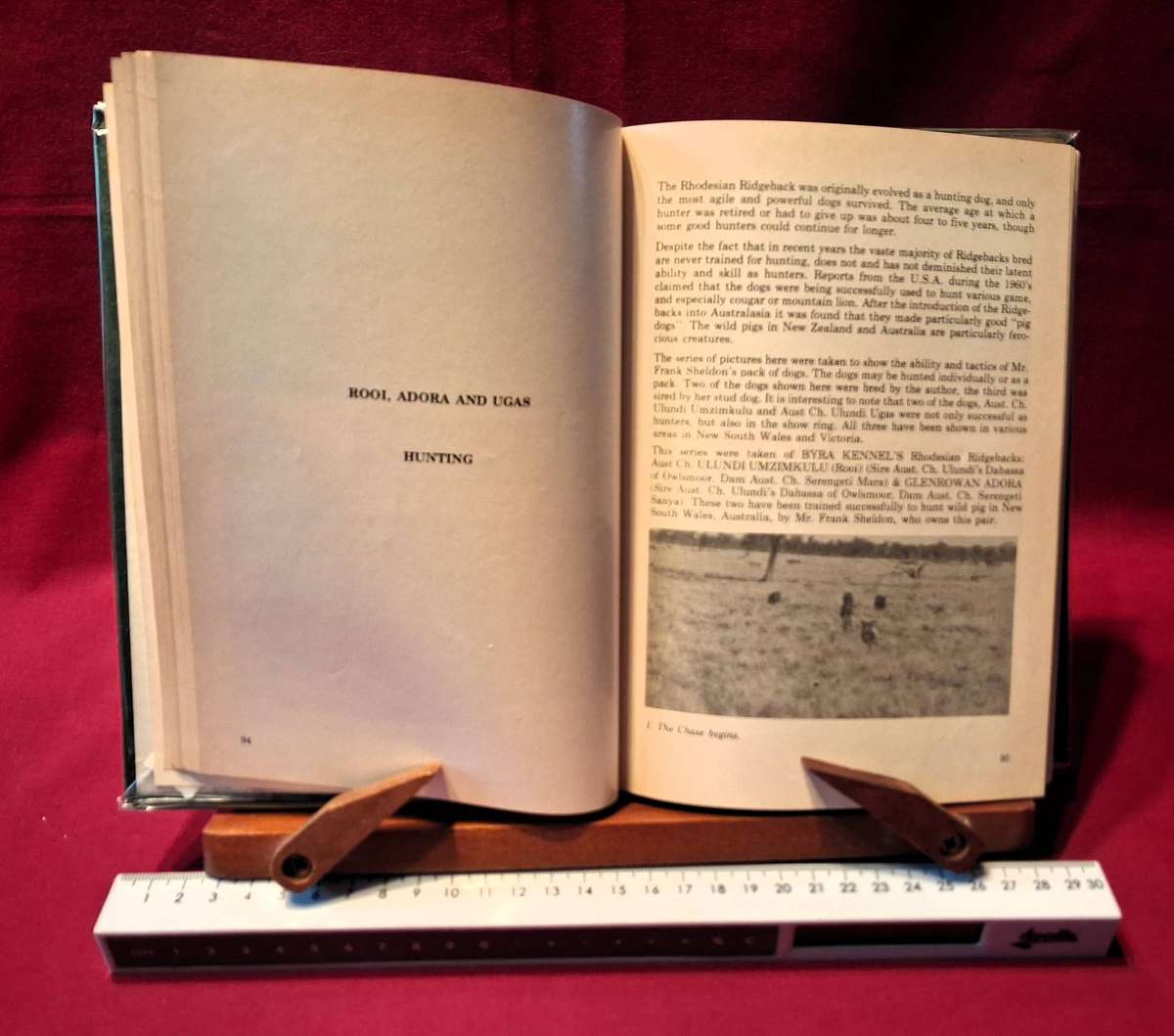 The Rhodesian Ridgeback 1924 - 1974 - J N Murray (Signed copy)
