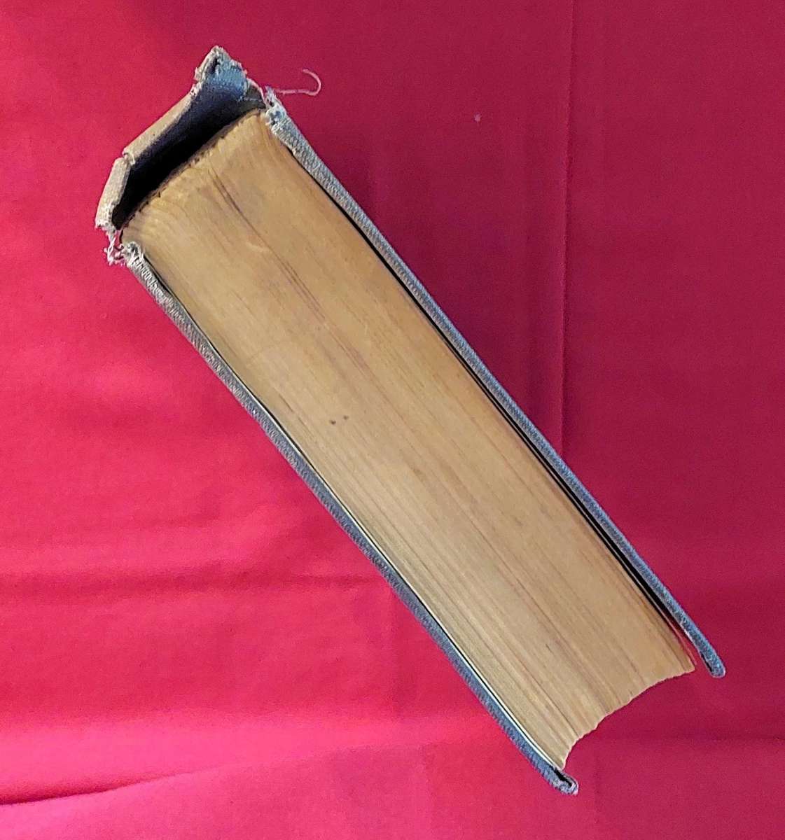 Mein Kampf - Adolf Hitler - (1939 English Translation)