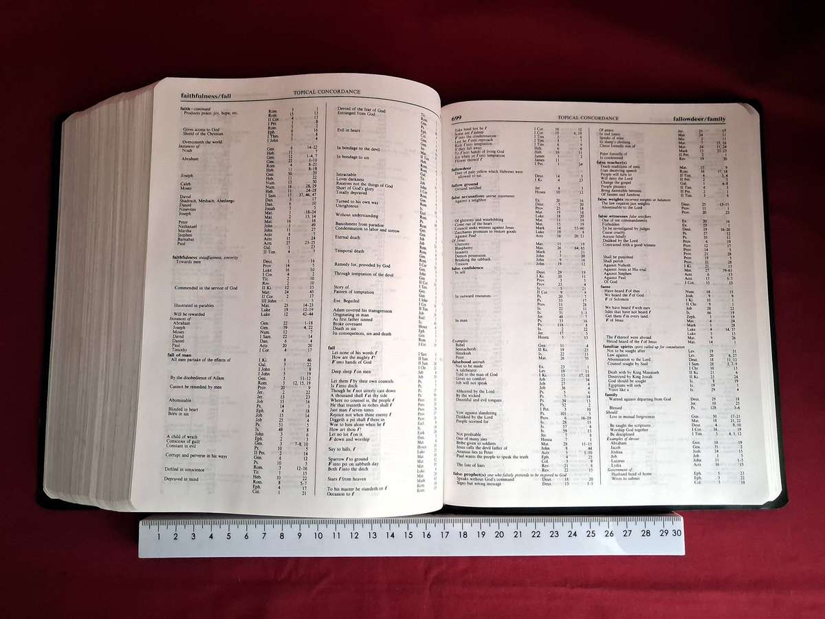 THE KING JAMES BIBLE  Special Margin Edition (Large Print, Red Lettered)