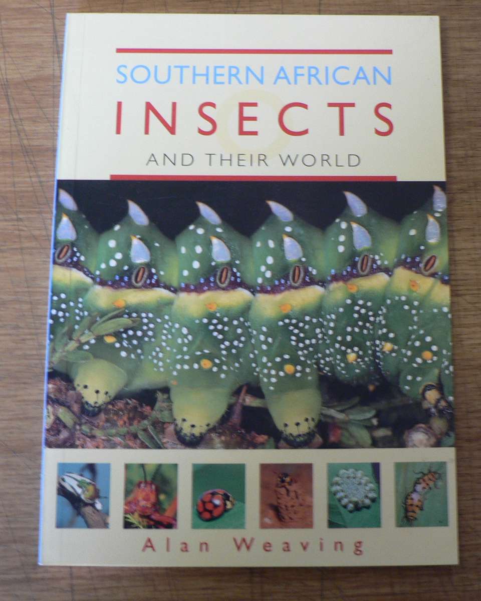 Southern African Insects and their world by Alan Weaving