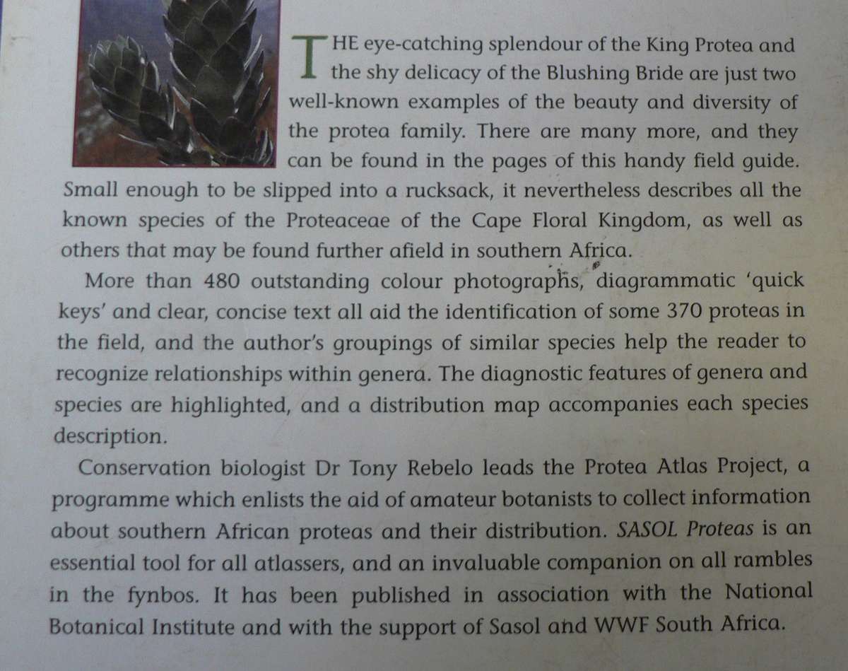 Proteas, a field guide to the Proteas of Southern Africa by Tony Rebelo and others.