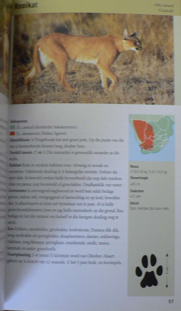 Sakgids tot soogdiere van Suider-Afrika deur Burger Cillie(comprehensive South African nature guide)