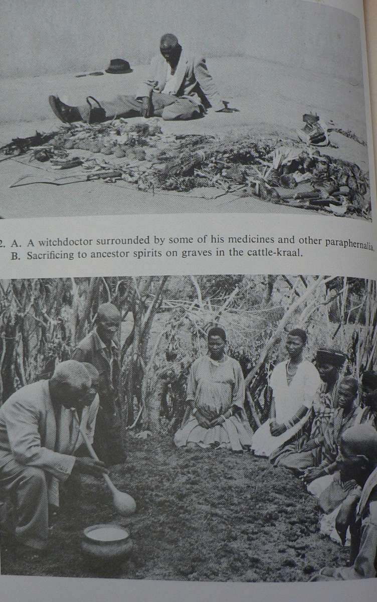 The Pedi by H.O. Monnig