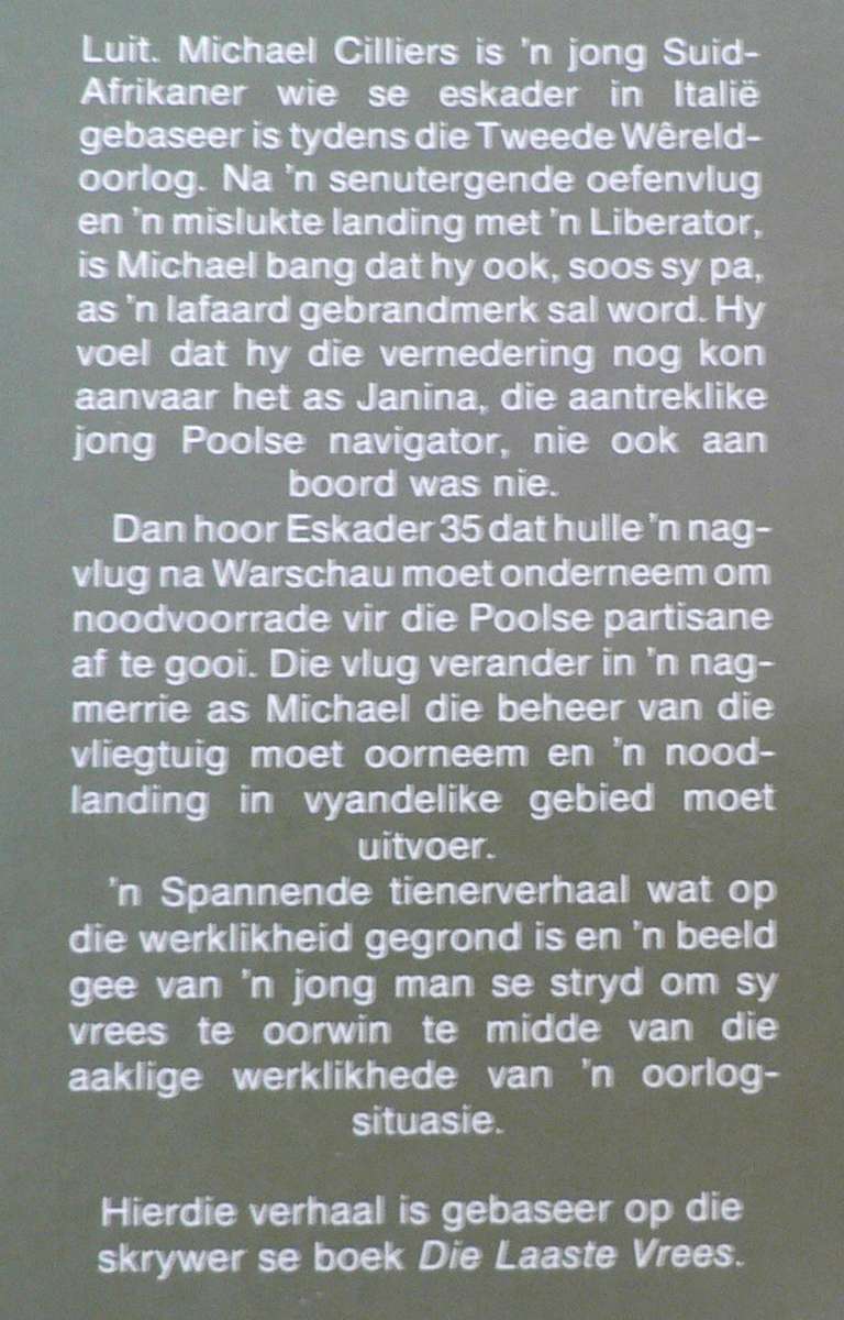 Nagbrug deur Adriaan Snyman( SA lugmag in WWII)