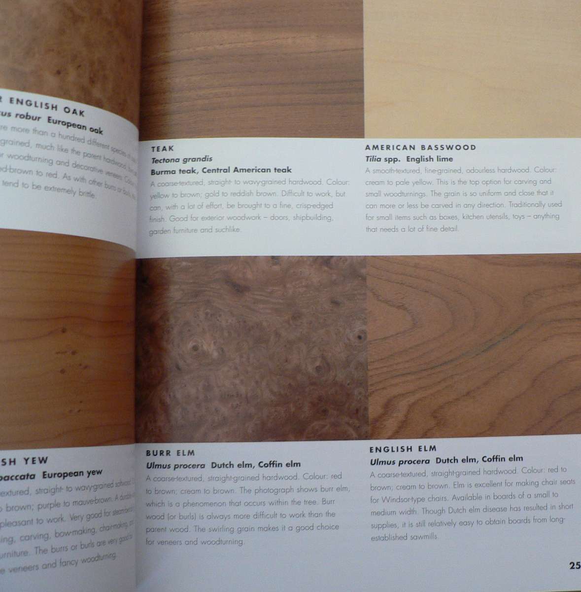 Encyclopedia of Woodworking by Alan and Gill Bridgewater