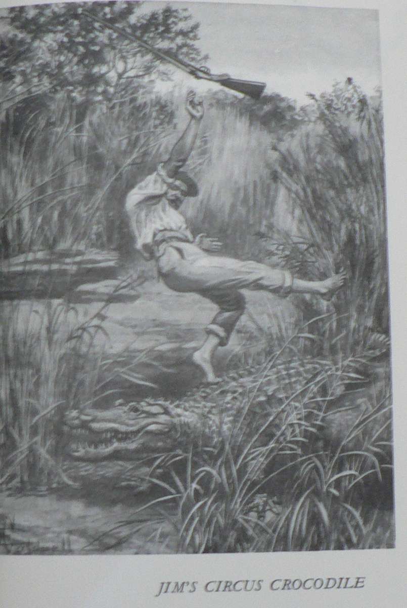 Jock of the bushveld by  Sir Percy Fitzpatrick(beautiful collectable copy)