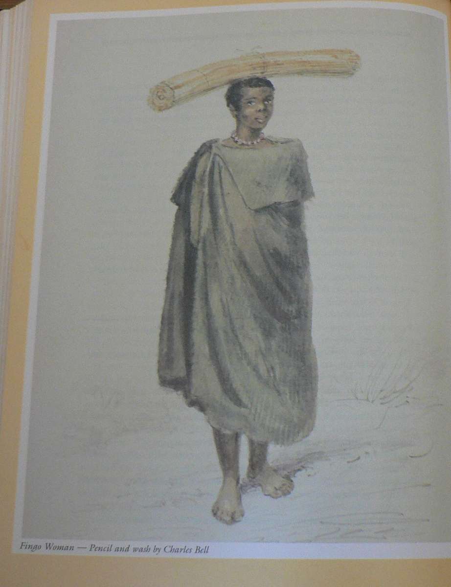 The story of an African Farm by Olive Schreiner (illustrated copy/beautiful)