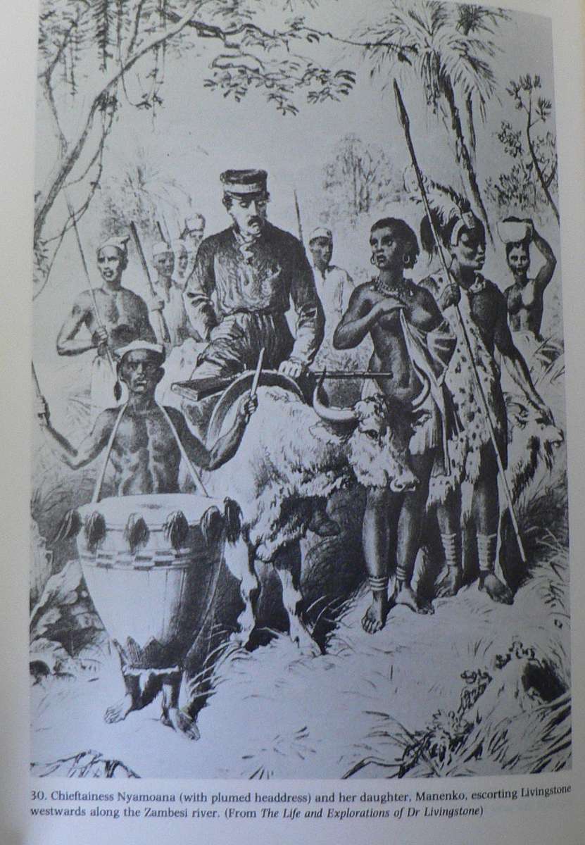 The Pathfinders by Peter Becker, a saga of exploration in Southern Africa