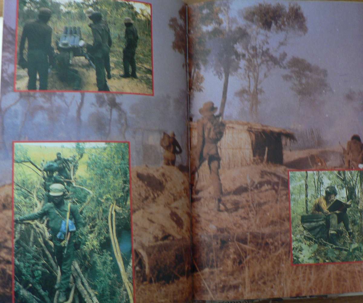 The war for Africa, twelve months that transformed a continent by Fred Bridgeland(bushwar)