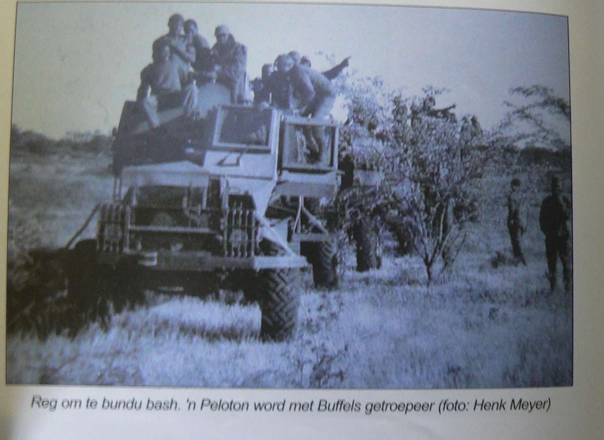 Die Buffel Struikel L.J. Bothma(border/bushwar)