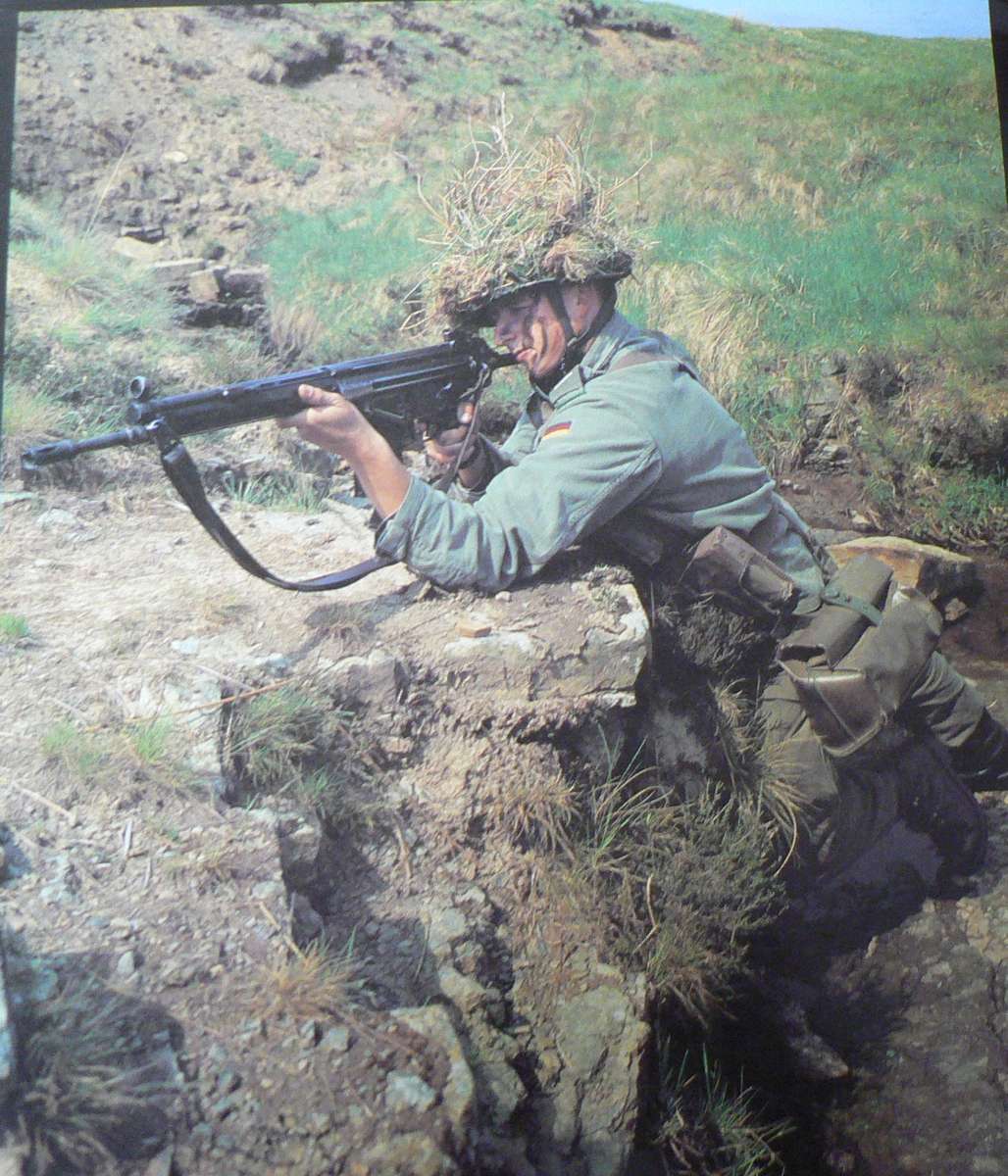 Modern Small Arms by Ian Hogg(beautiful firearms book)