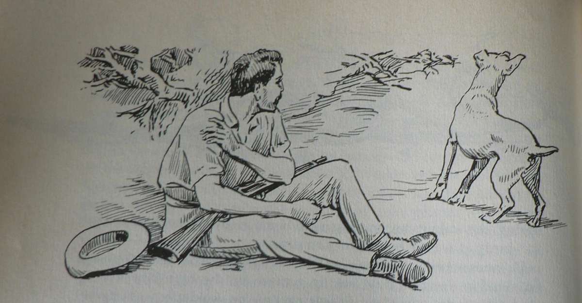 Jock van die bosveld deur Percy Fitzpatrick(pragtige jeugboek)