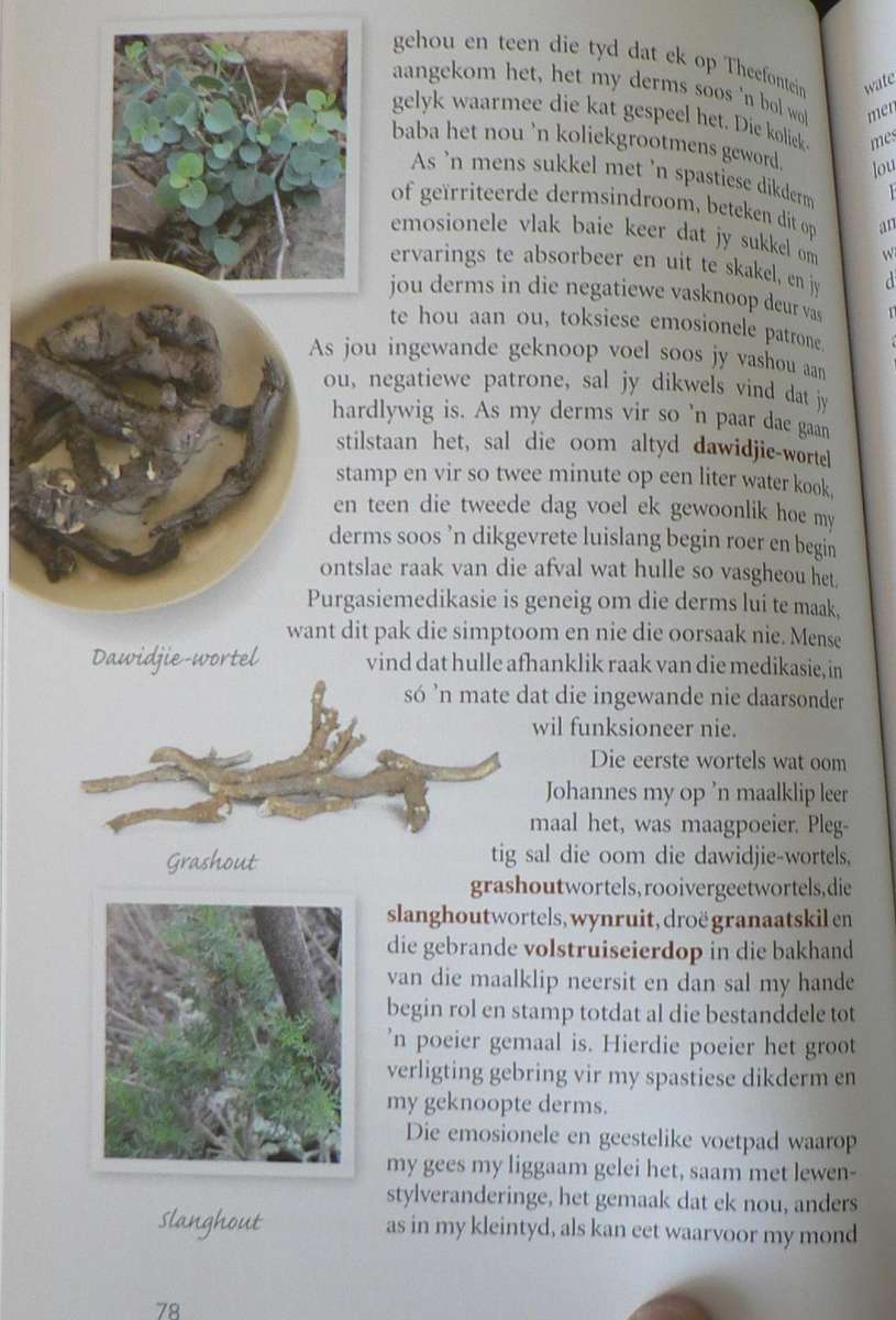 Kruidjie roer my nie deur Antoinette Pienaar