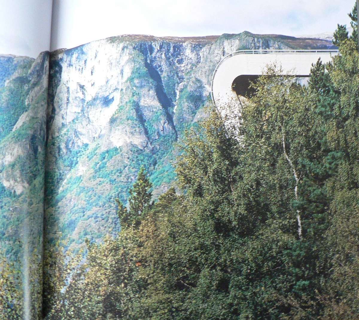 Organic Architecture, inspired by nature