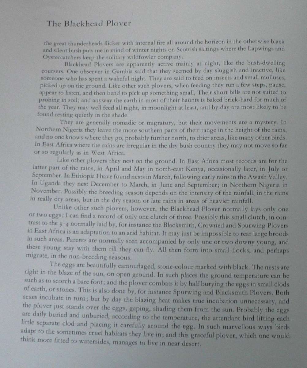 Birds of the African Bush by Leslie Brown and Rena Fennessy(beautiful colour plates)