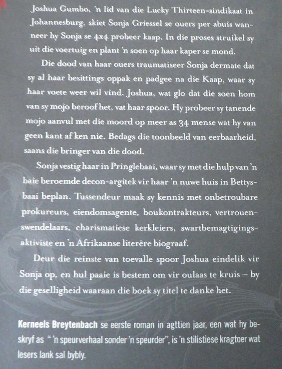 Piekniek by Hangklip deur kerneels Breytenbach (1ste uitgawe)