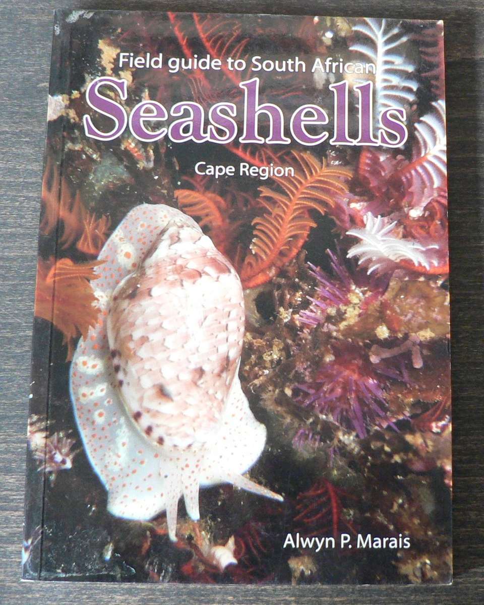 Field guide to  South African sea shell by Alwyn P. Marais