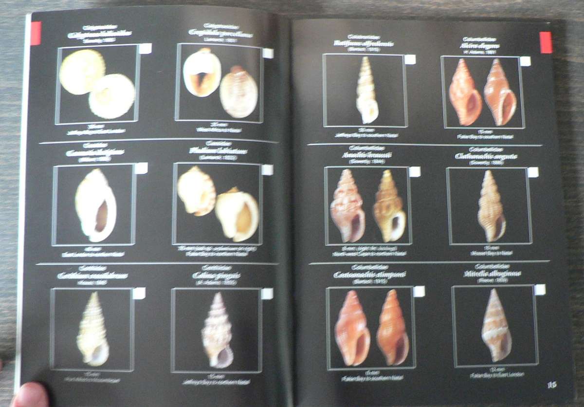Field guide to  South African sea shell by Alwyn P. Marais