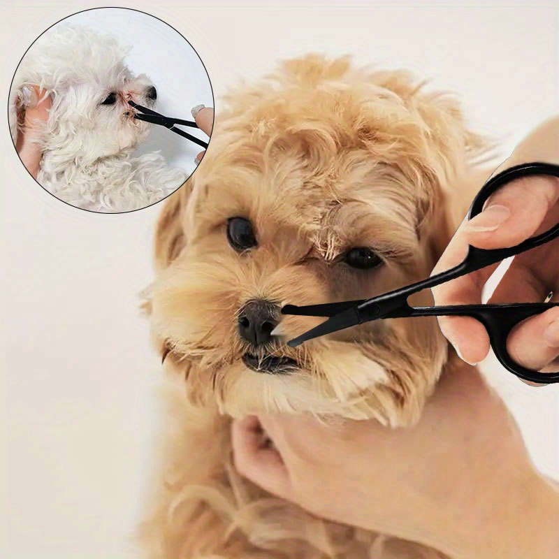 1-Pack Professional Pet Grooming Scissors Set - Stainless Steel For Dogs And Cats