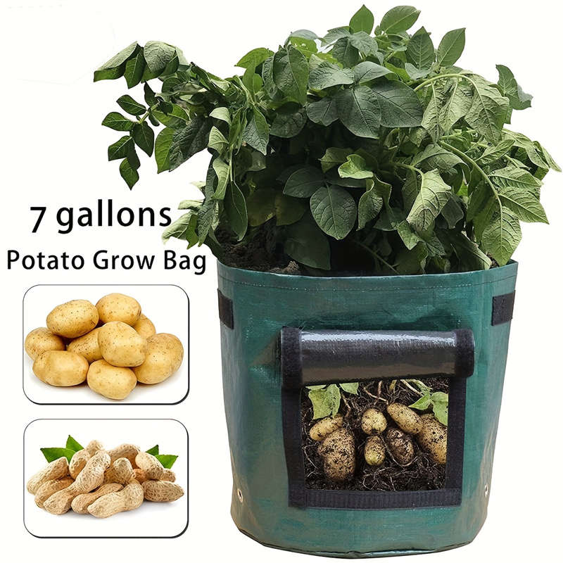 1-Pack Potato Grow Bag (7 Gallon) with Inlet Baffle