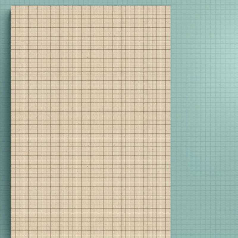 500 Page Graph Paper Notebook Dot Grid Paper