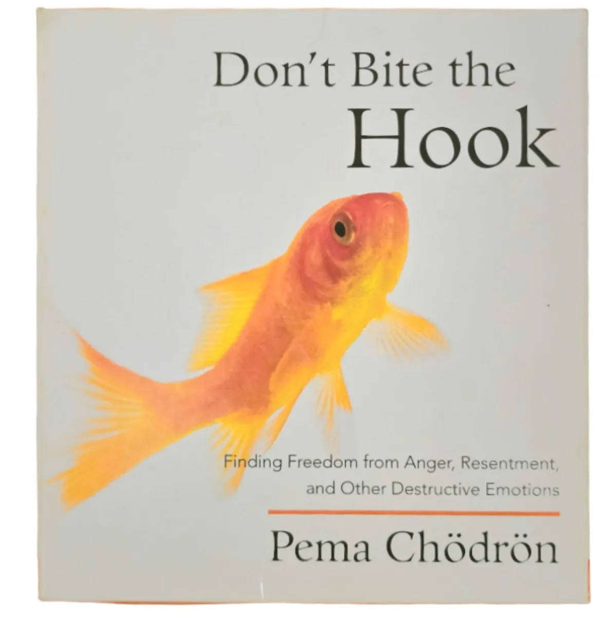 Don't Bite the Hook - Pema Chödrön