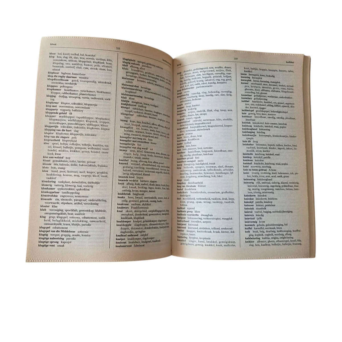 Makro Blokraaiselwoordeboek - LL Pansegrouw