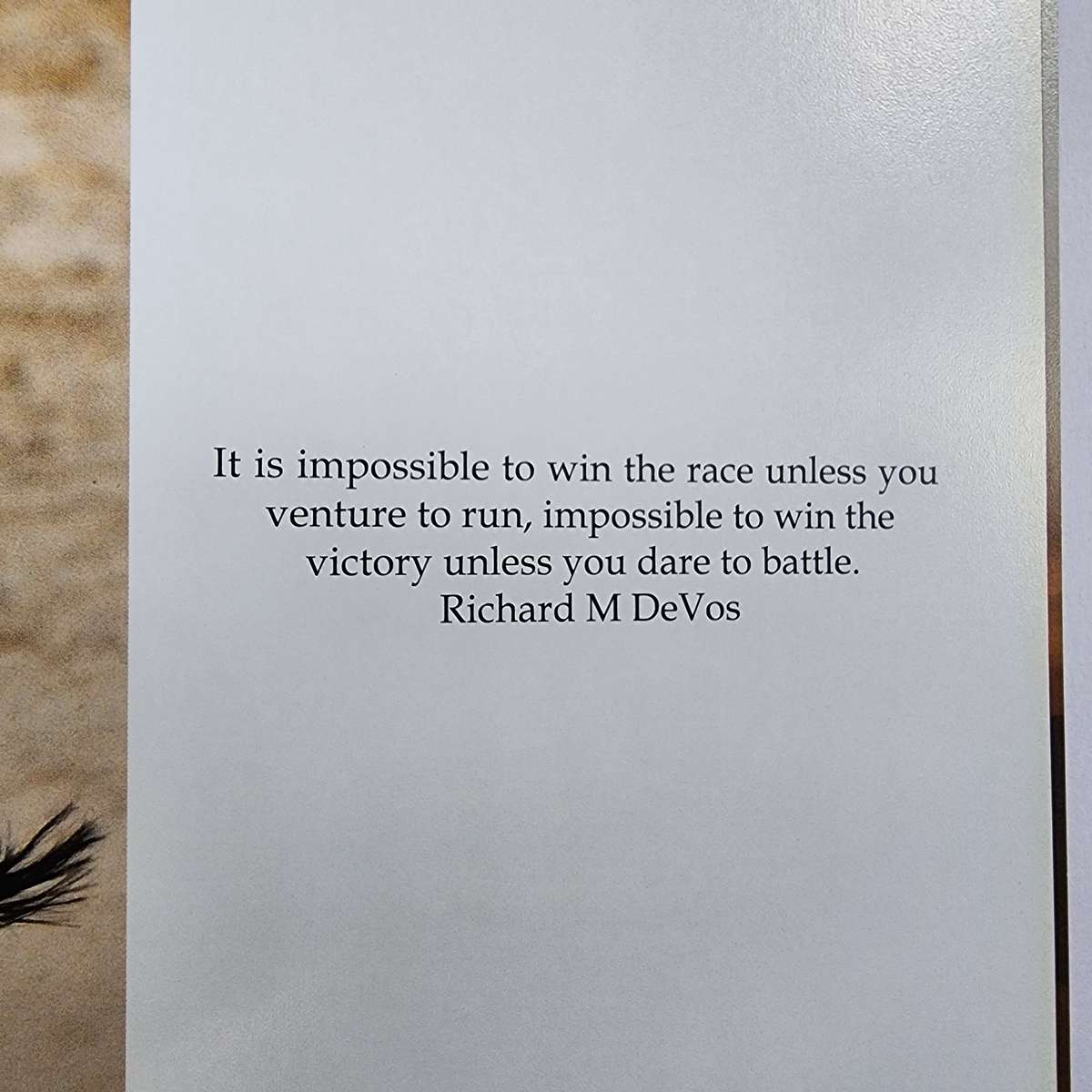 My Book by Brian Joffe