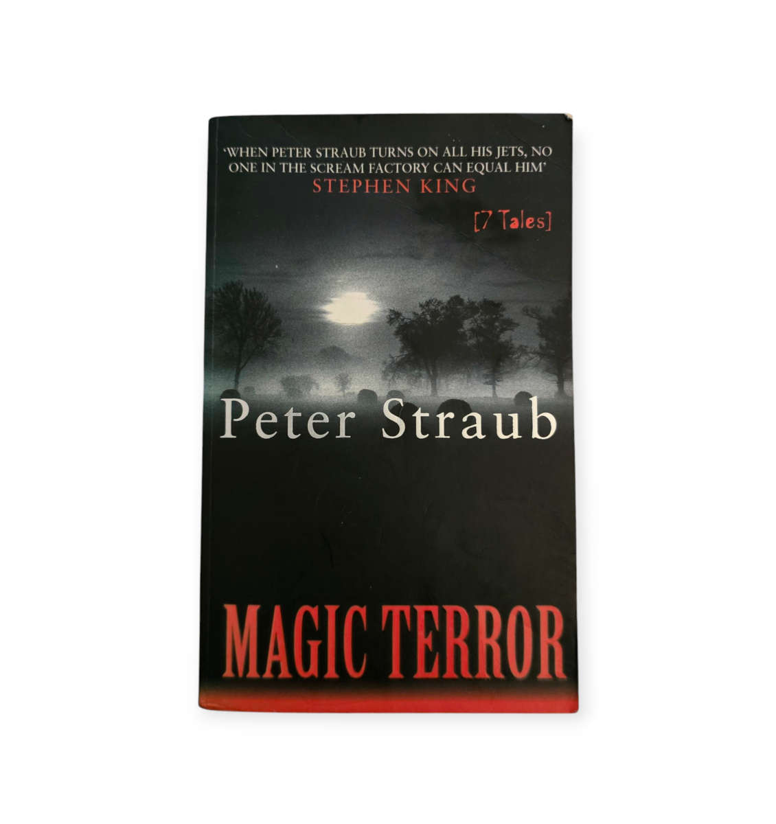Magic terror - Peter Straub